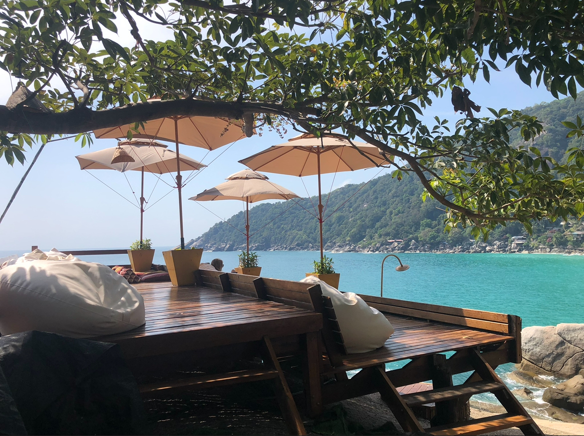 Where the Jungle meets the Sea ~ 