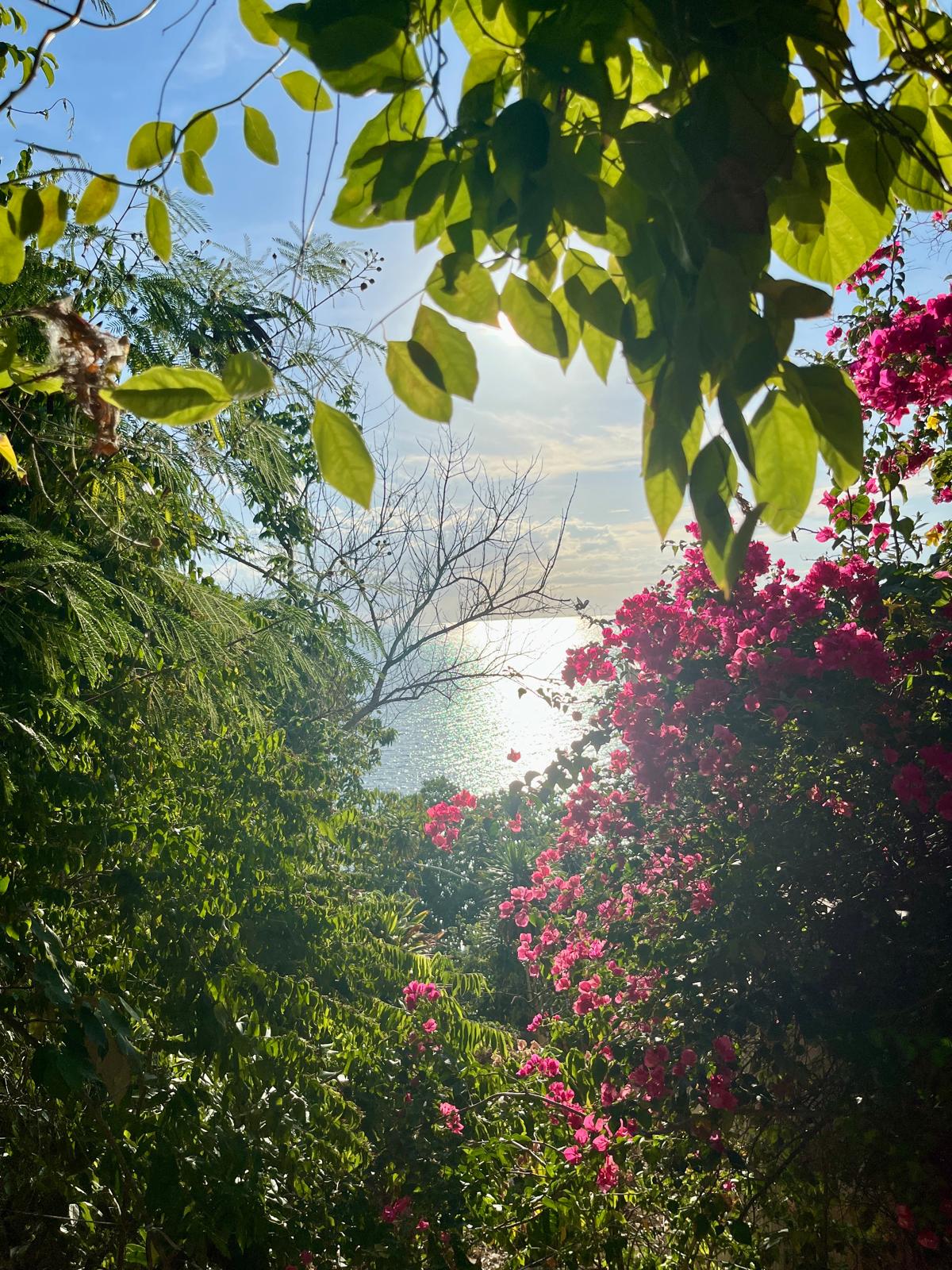 7 Day Breath, Sound & Movement Yoga Retreat