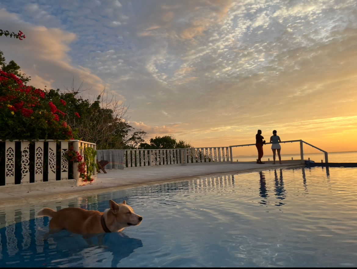 5-Day Ecstatic Dance Sanctuary, Koh Phangan