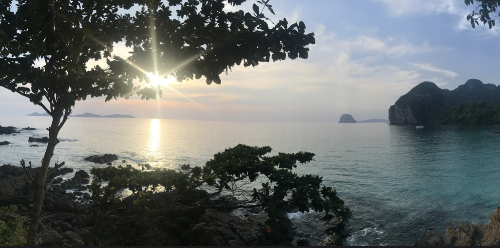 7-Day Bambu Jungle Retreat - Koh Phangan